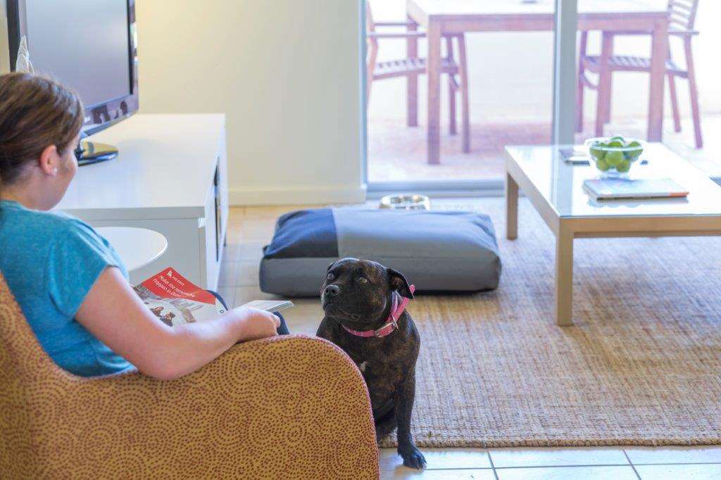 Nesuto Geraldton Aparthotel Tiện nghi bức ảnh